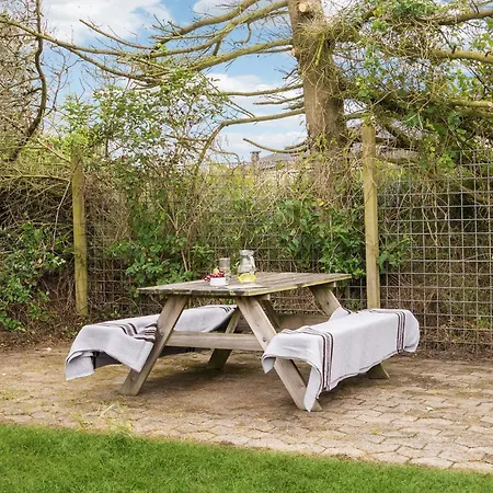 Feriehus Pet Friendly In With Wifi Ringkøbing